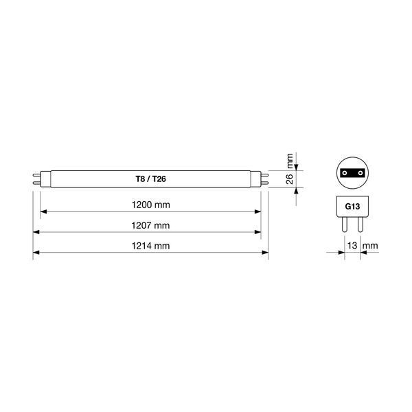 BactoSfera BS 36W T8/G13-OF 2415694586 фото